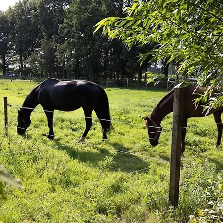 Studio 22 - Woonboerderij Apartment Haaren (North Brabant)